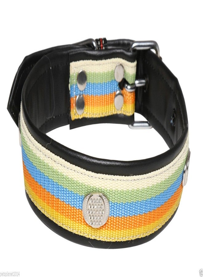 Ocean Wave Petsplanet Dog Collar with Stylish Design & Soft Pad- 5 Color Strip - Image 1